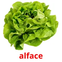 alface ansichtkaarten