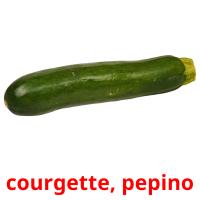 courgette, pepino card for translate