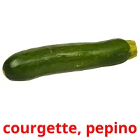 courgette, pepino ansichtkaarten