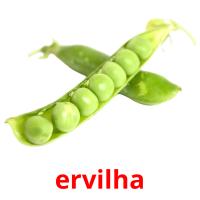 ervilha picture flashcards