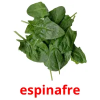 espinafre ansichtkaarten