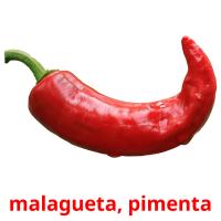 malagueta, pimenta card for translate