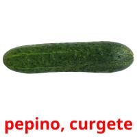 pepino, curgete card for translate