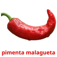 pimenta malagueta Tarjetas didacticas
