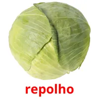 repolho Tarjetas didacticas