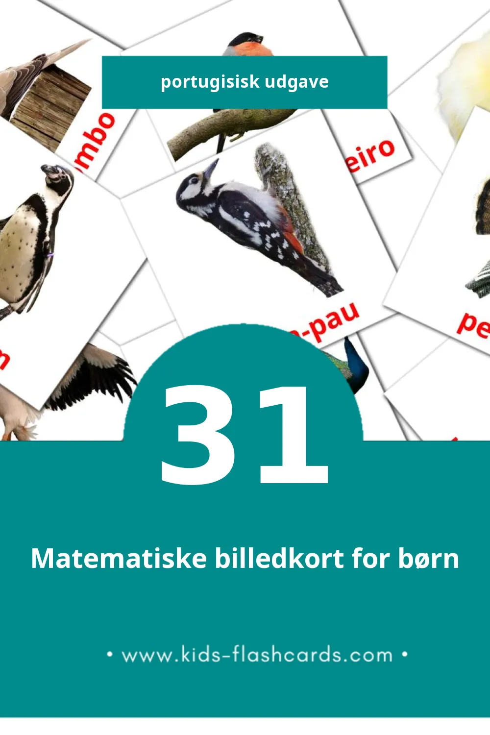 Visuelle billedkort for børn om Pássaros til småbørn (31 kort på Portugisisk)