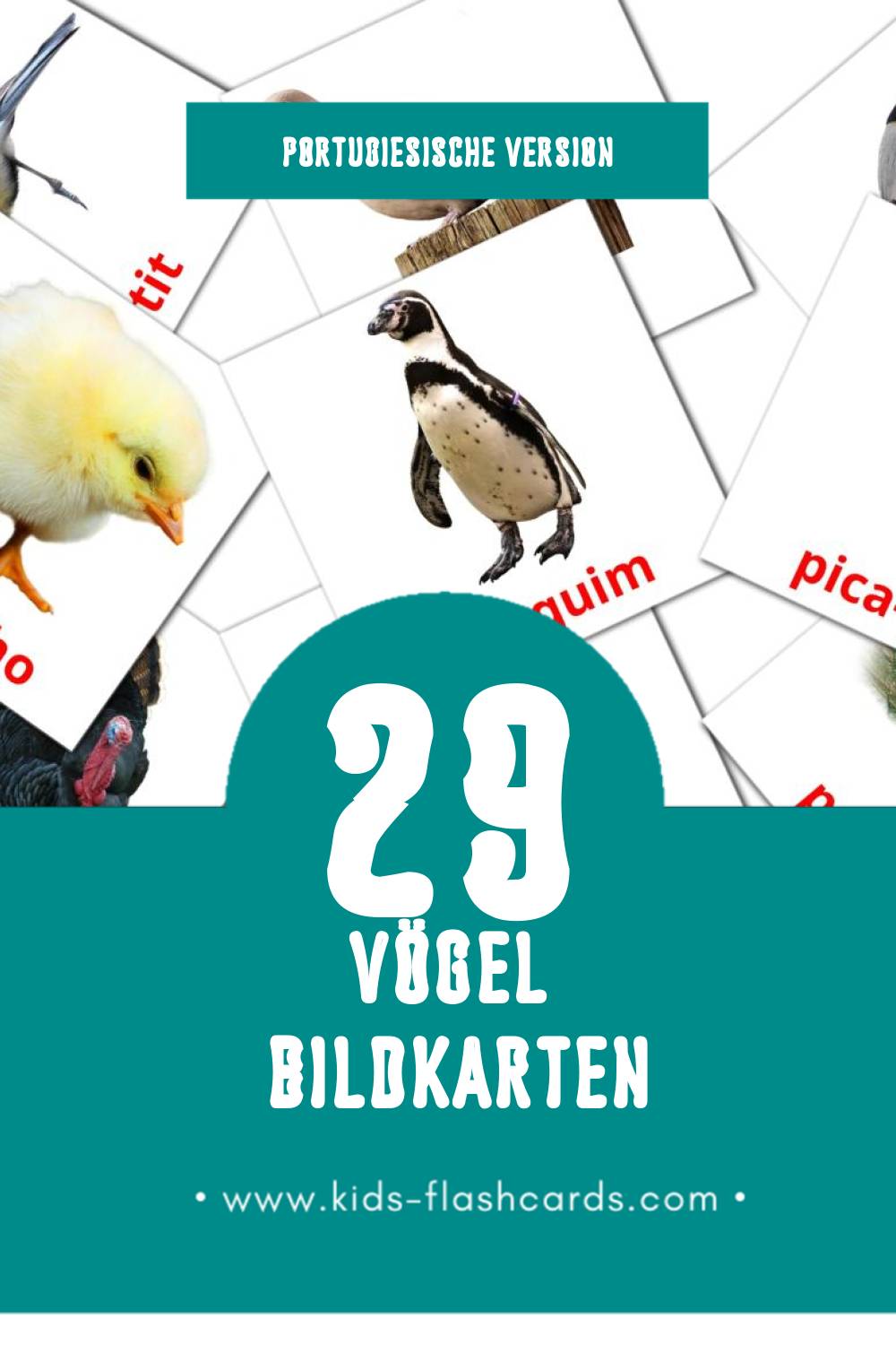 Visual Aves Flashcards für Kleinkinder (29 Karten in Portugiesisch)