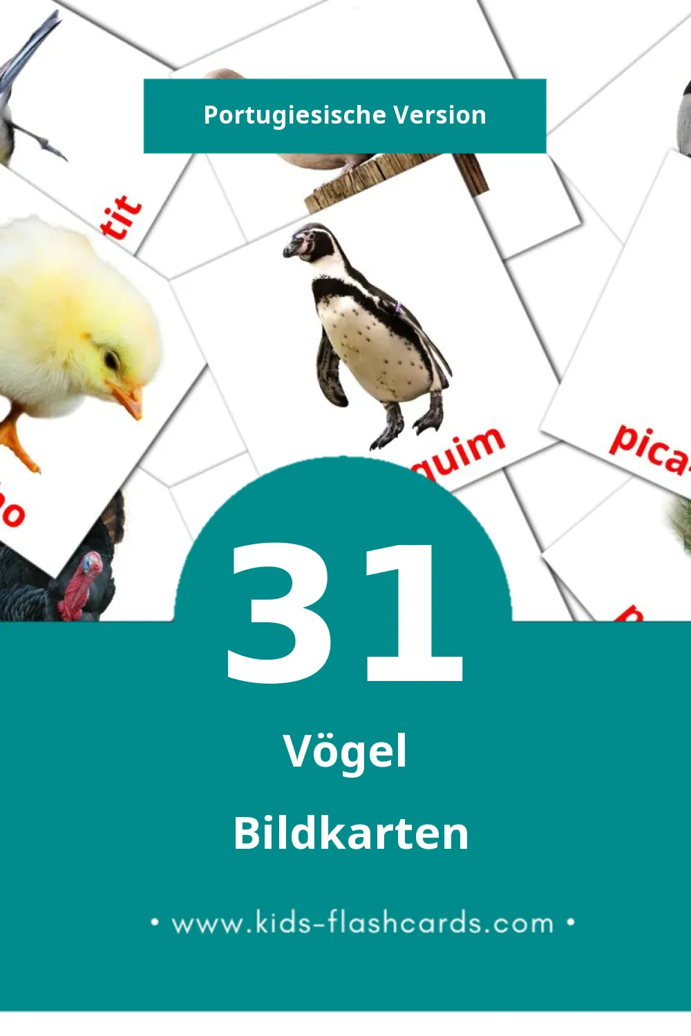 Visual Pássaros Flashcards für Kleinkinder (31 Karten in Portugiesisch)