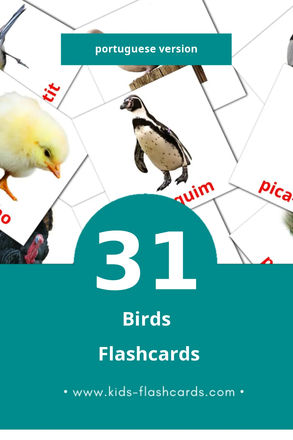 Visual Pássaros Flashcards for Toddlers (31 cards in Portuguese)