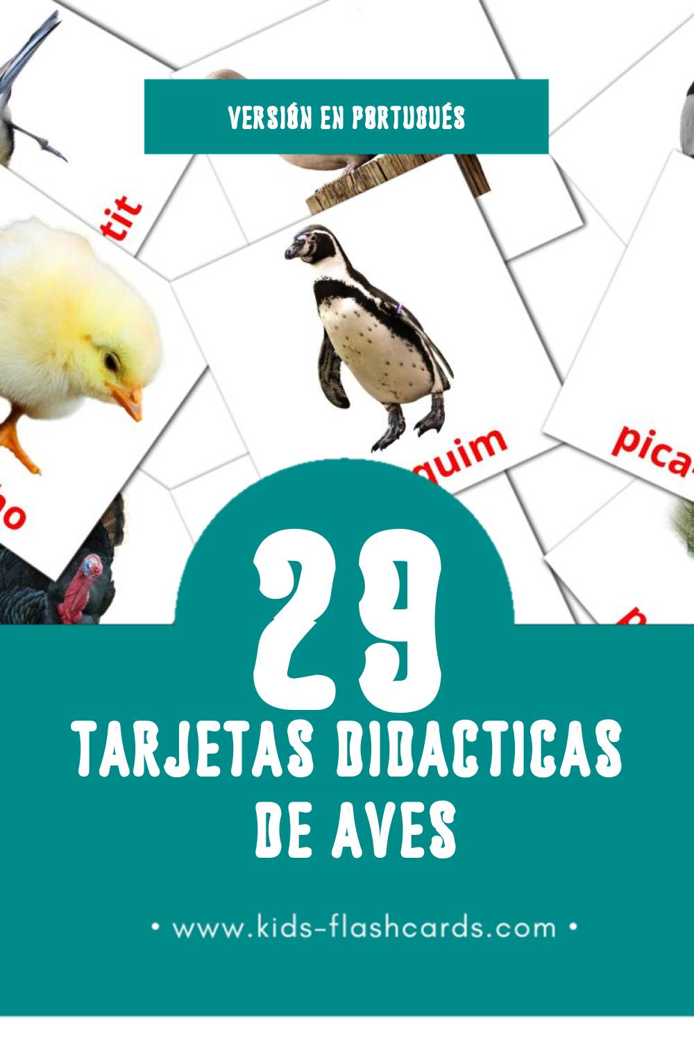 Tarjetas visuales de Aves para niños pequeños (29 tarjetas en Portugués)