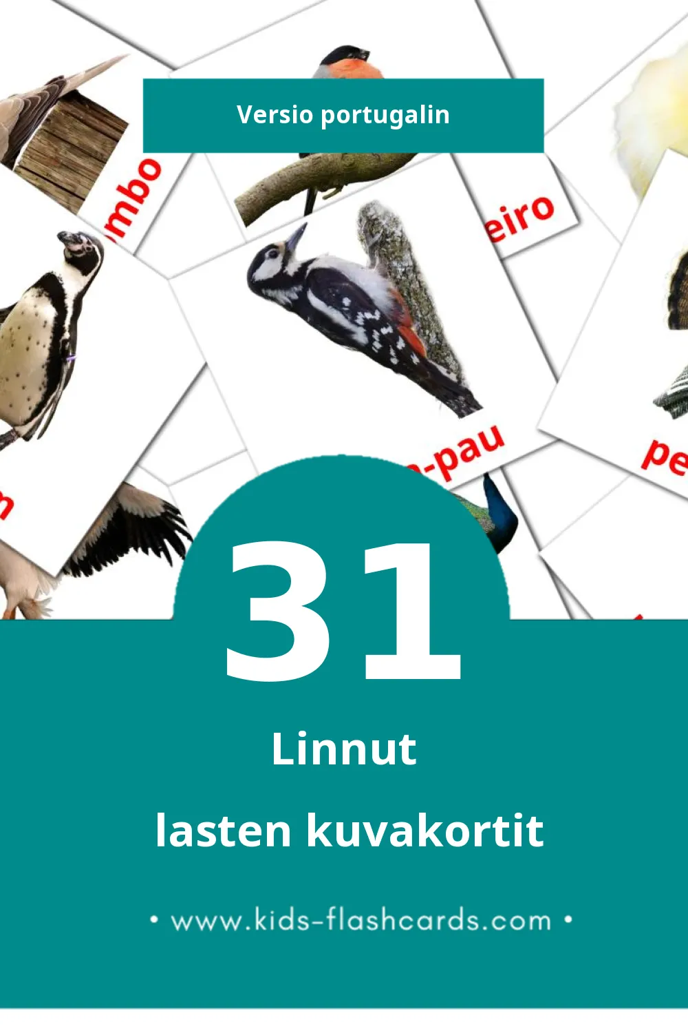 Pássaros lasten kuvakortit pikkulapsille (31 korttia Portugalinksi)