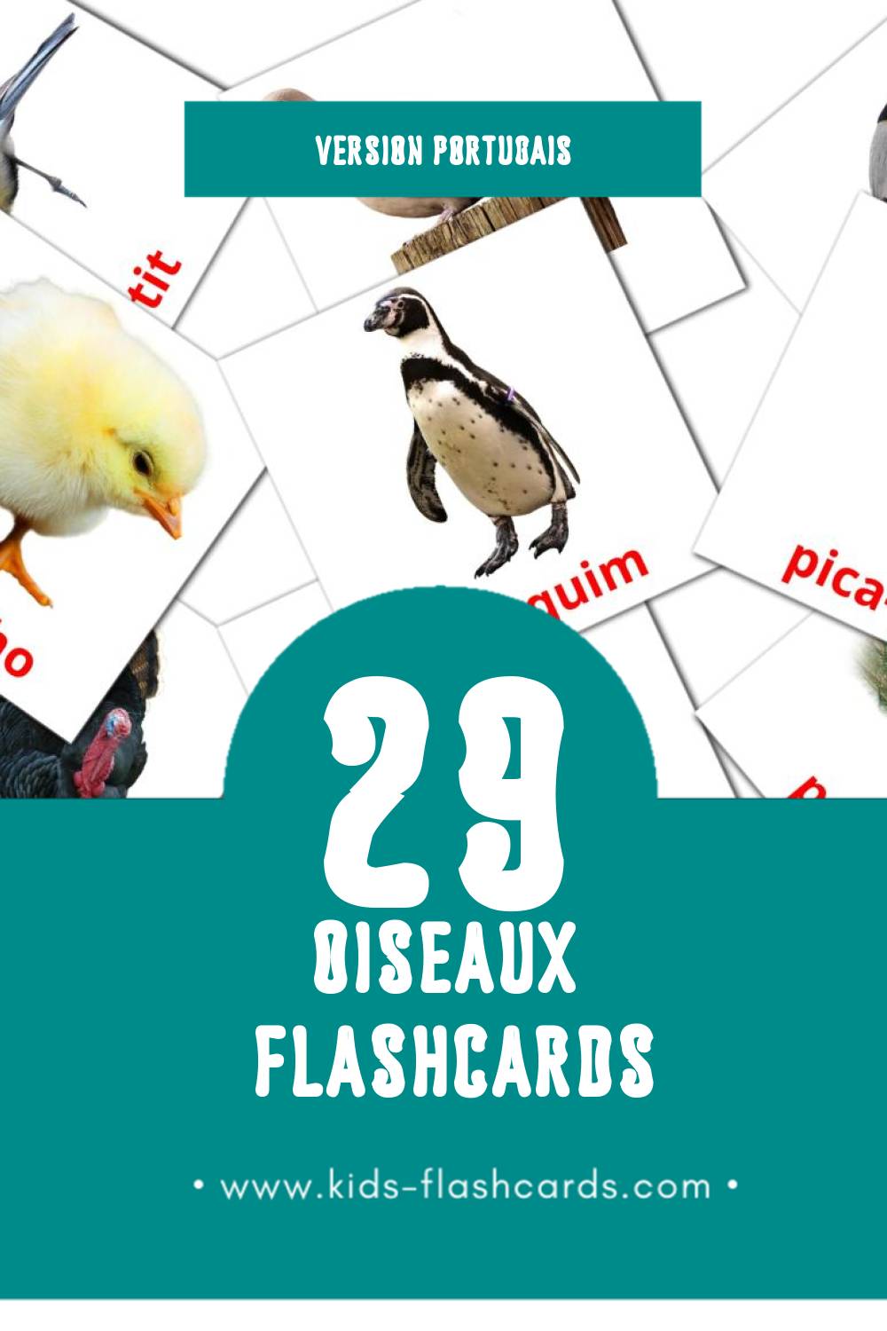 Flashcards Visual Aves pour les tout-petits (29 cartes en Portugais)