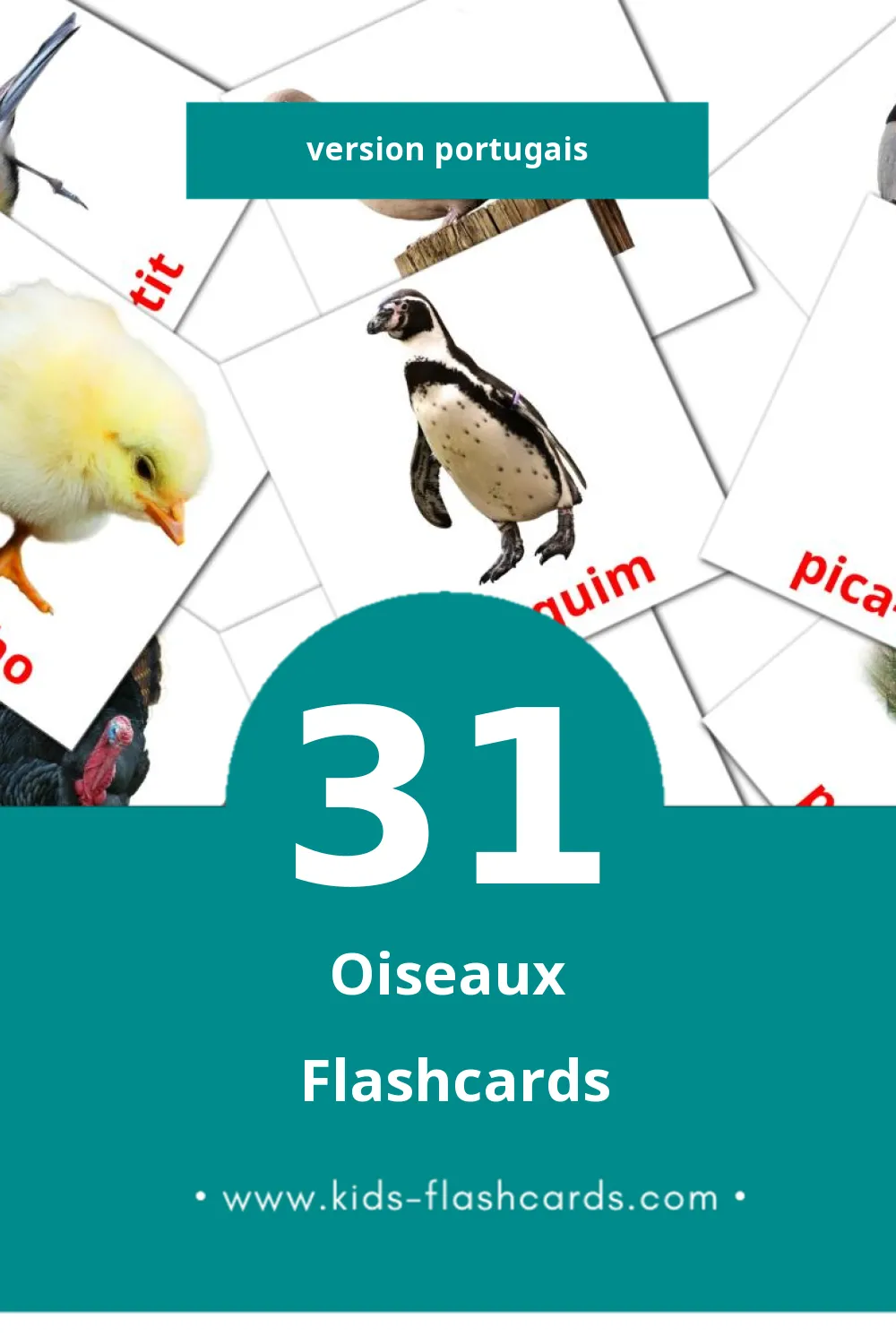 Flashcards Visual Pássaros pour les tout-petits (31 cartes en Portugais)