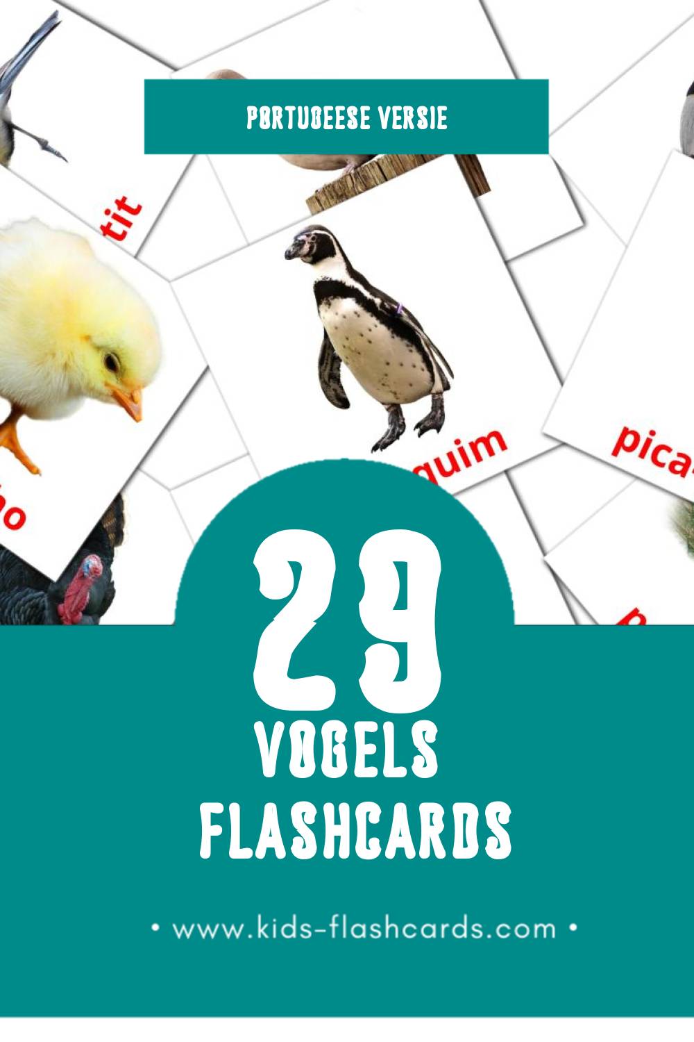 Visuele Pássaros Flashcards voor Kleuters (29 kaarten in het Portugees)