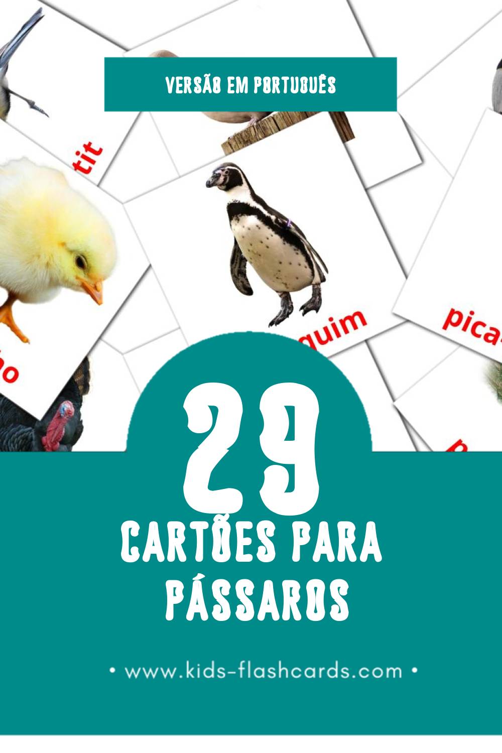 Flashcards de Pássaros Visuais para Toddlers (29 cartões em Português)