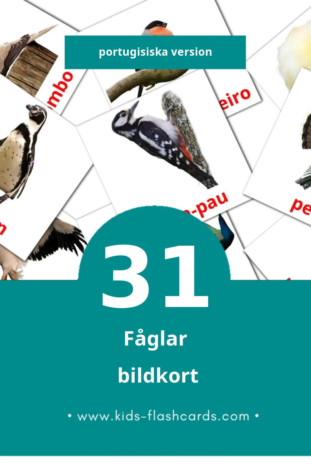 Visuella Pássaros för småbarn (31 bildkort för barn på Portugisiska)