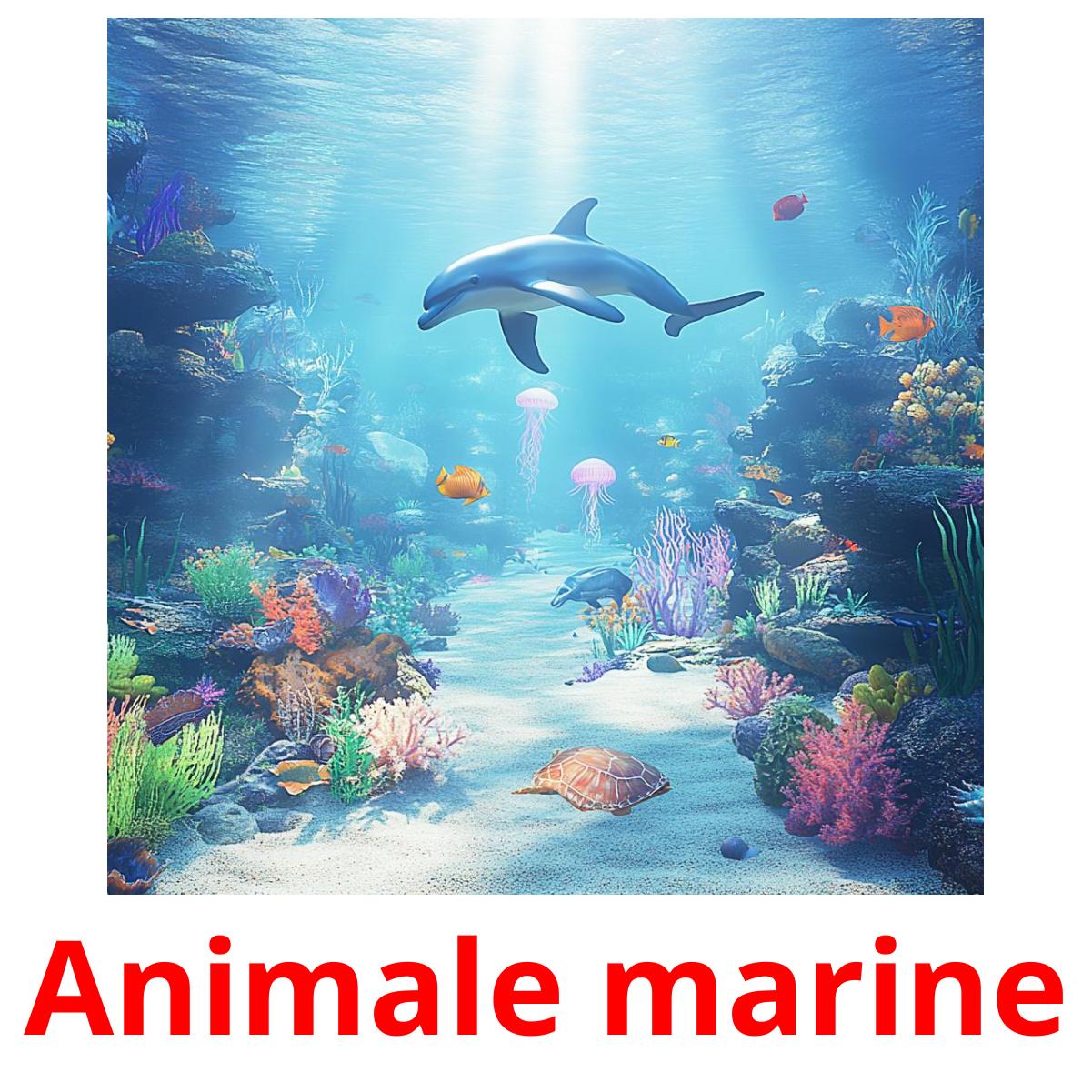 Animale marine picture flashcards