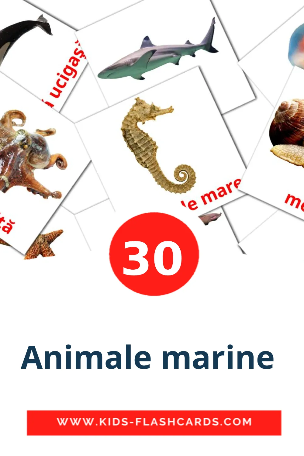 30 cartes illustrées de Animale marine  pour la maternelle en roumain