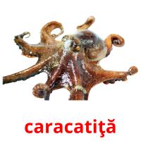 caracatiţă Tarjetas didacticas