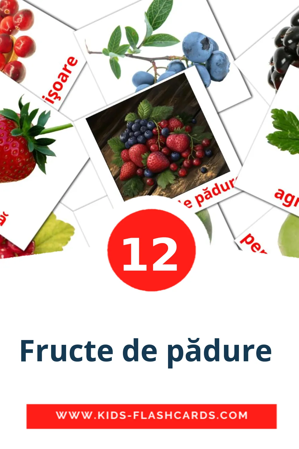 Fructe de pădure  на румынском для Детского Сада (12 карточек)