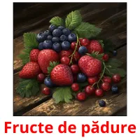 Fructe de pădure карточки энциклопедических знаний