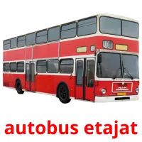 autobus etajat picture flashcards