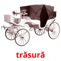 trăsură picture flashcards