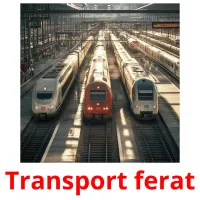 Transport ferat picture flashcards