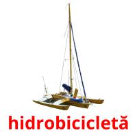 hidrobicicletă карточки энциклопедических знаний