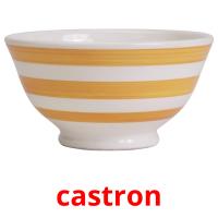 castron picture flashcards
