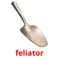 feliator picture flashcards