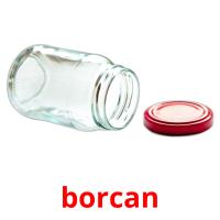 borcan flashcards illustrate
