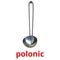 polonic picture flashcards