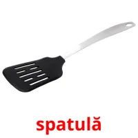 spatulă ansichtkaarten