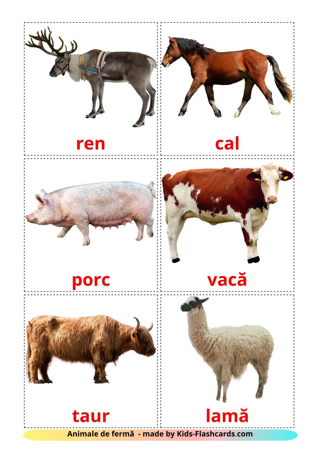 Animais da Fazenda - 16 Flashcards romenoes gratuitos para impressão