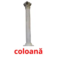 coloană Bildkarteikarten