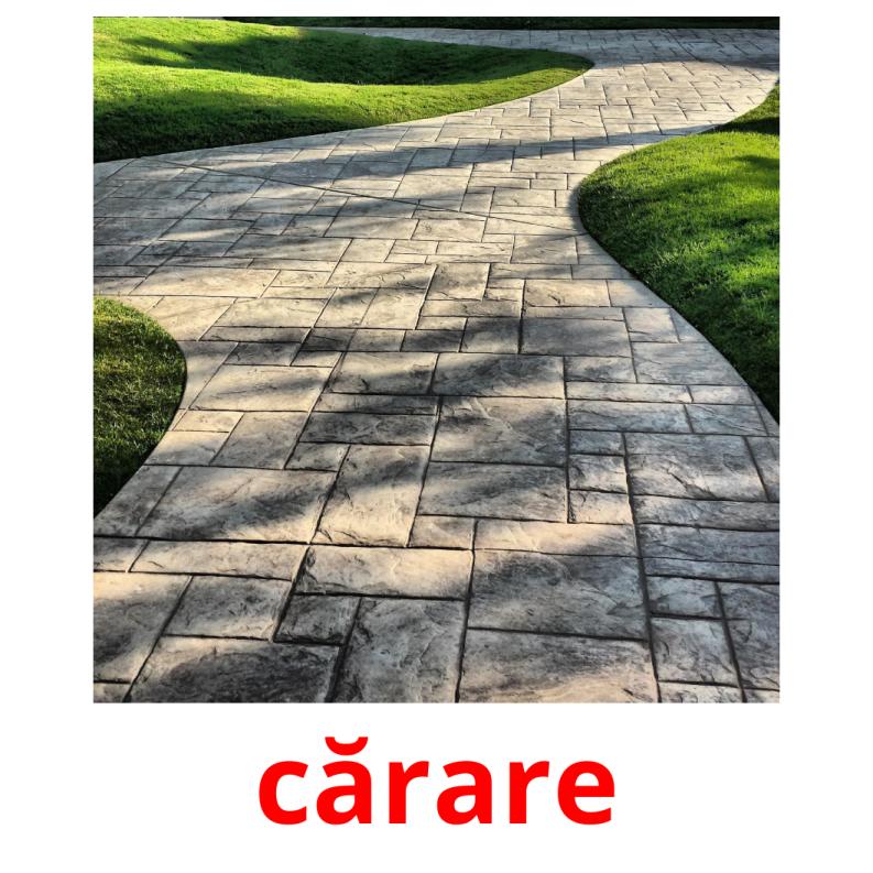 cărare picture flashcards