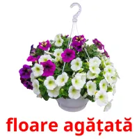 floare agățată ansichtkaarten