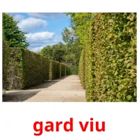 gard viu ansichtkaarten