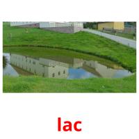 lac picture flashcards
