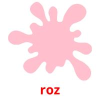 roz picture flashcards