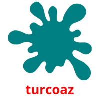 turcoaz flashcards illustrate
