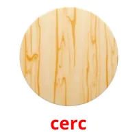 cerc flashcards illustrate