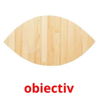 obiectiv flashcards illustrate