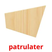 patrulater Bildkarteikarten