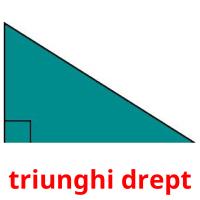 triunghi drept Bildkarteikarten