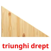 triunghi drept flashcards illustrate