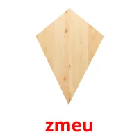 zmeu flashcards illustrate