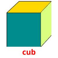 cub picture flashcards