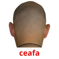 ceafa flashcards illustrate
